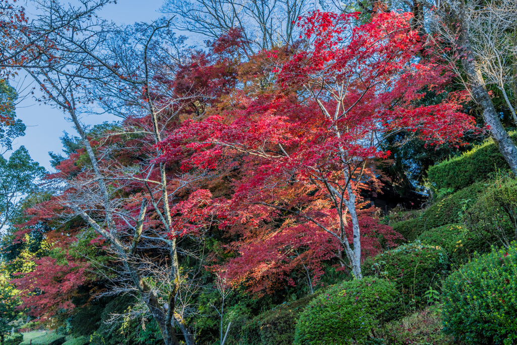 西渓公園-6