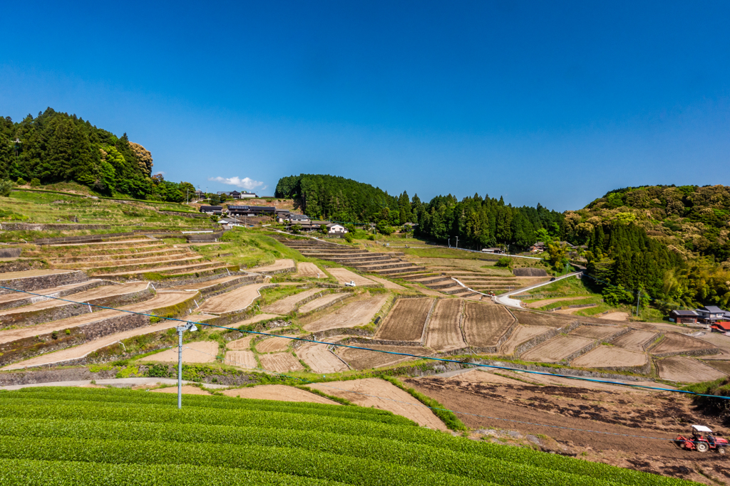 鬼木の棚田-2