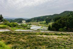 西の谷の棚田-2