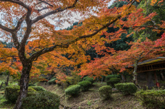 西渓公園-4