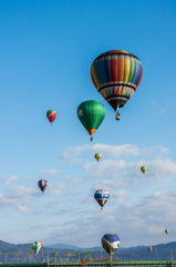 今朝のバルーン-2