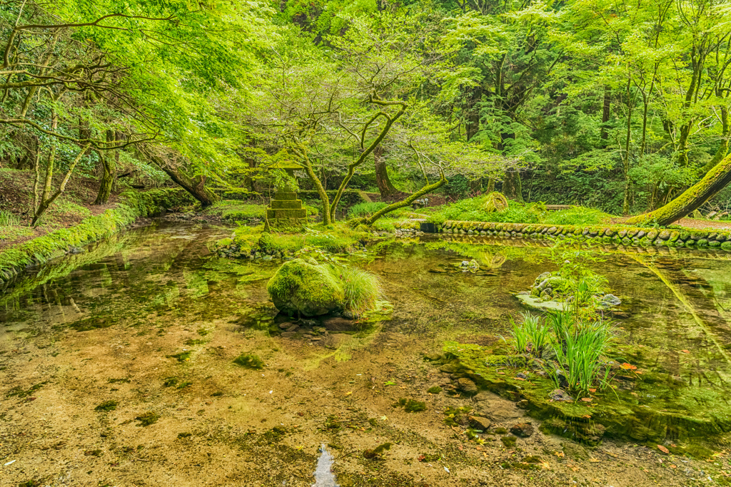 山吹水源-2