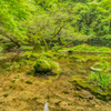 山吹水源-2