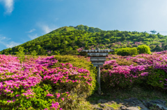 朝の仁田峠-2