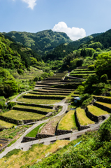 日向の棚田