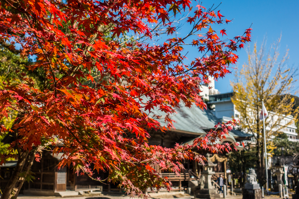 與止日女神社-1