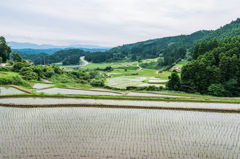西の谷の棚田-1