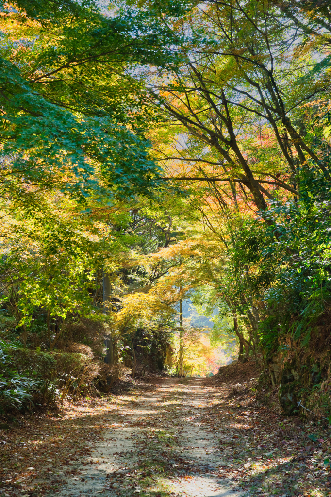 磁石場への通路