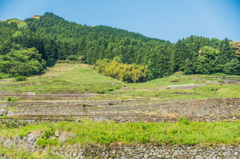 鬼木の棚田を見上げる