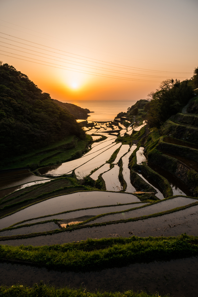 浜野浦2015.04.21_1834