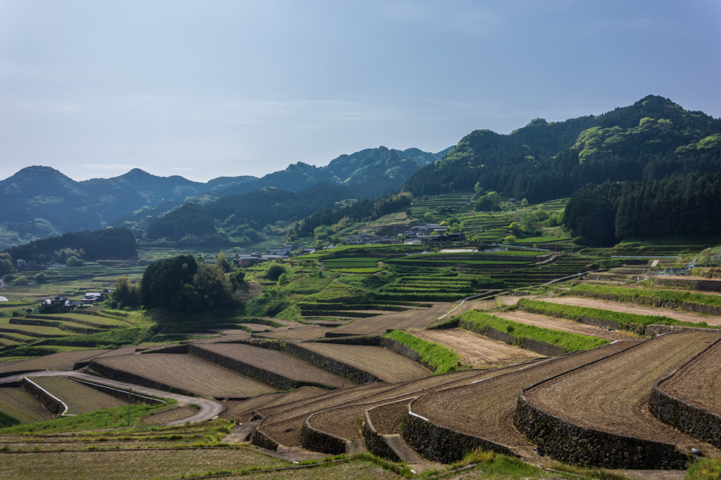 鬼木の棚田-2