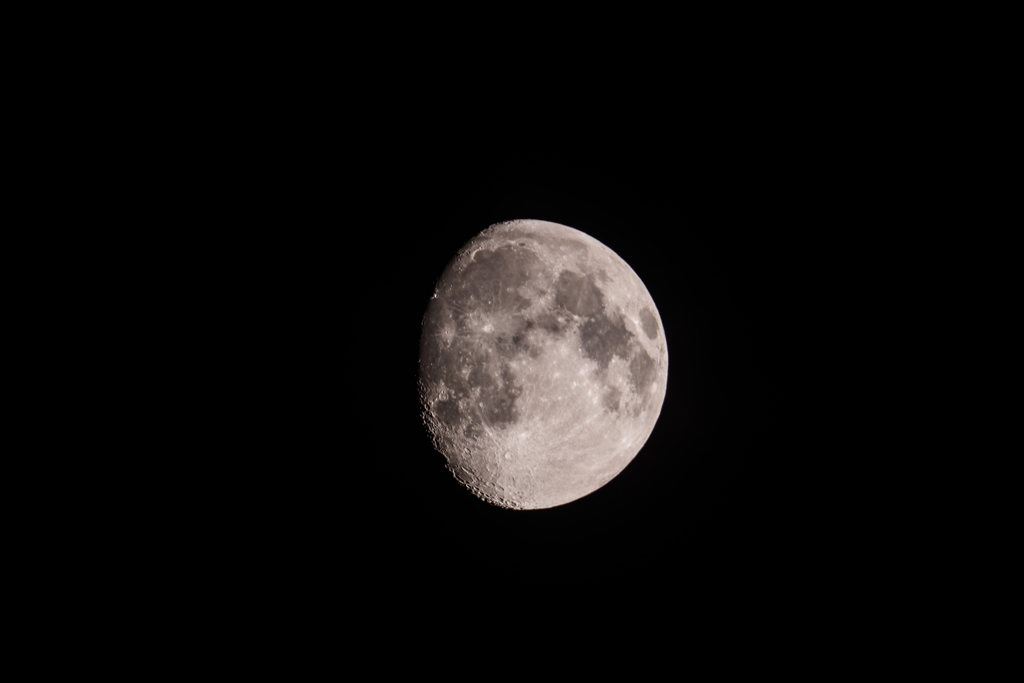 昨夜の月（月齢11.5日）