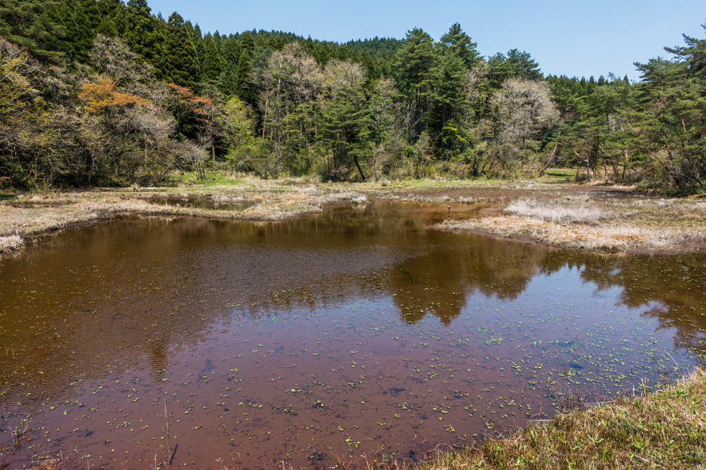 樫原湿原-1