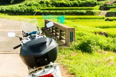 町道浜野浦線