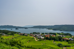 瓜ヶ坂の棚田-2