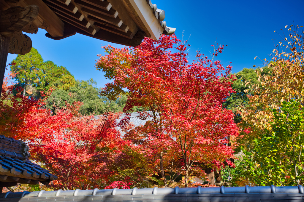 武雄廣福寺-1