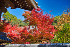 武雄廣福寺-1