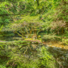 山吹水源-5