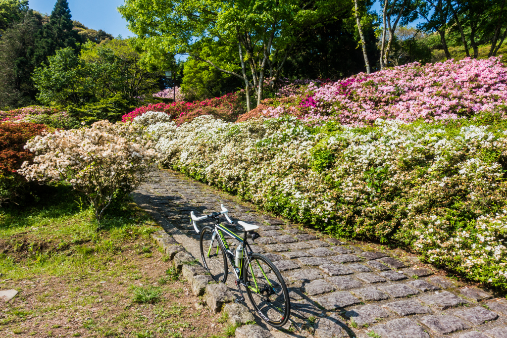 久留米森林つつじ公園