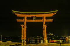 夜の鳥居 夜の鳥居