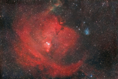 NGC2264_2023.01.02