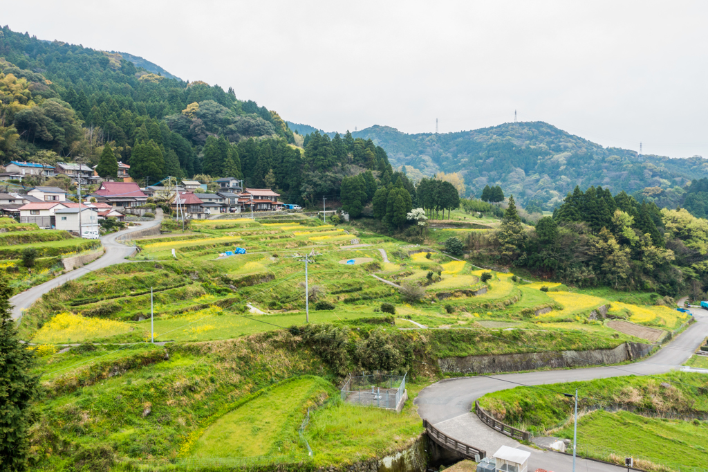 江里山棚田