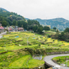 江里山棚田