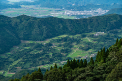 平野の棚田