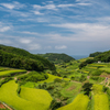 飯良の棚田-2