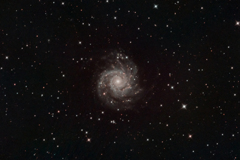 M74_2020.11.11