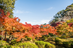 西渓公園奥の谷から