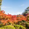 西渓公園奥の谷から