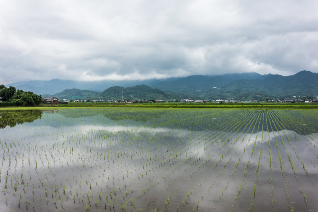 梅雨空