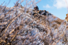 立岩の峰の霧氷