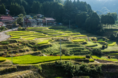 江里山の棚田-2