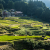 江里山の棚田-2