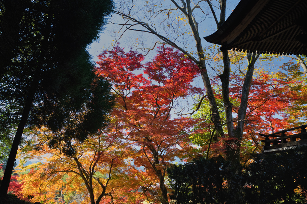 多久神社