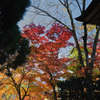 多久神社