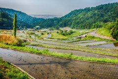 田植後の江里山棚田