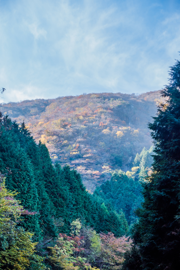 晩秋の天山