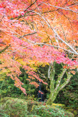 西渓公園の滝の前