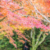 西渓公園の滝の前