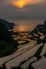 浜野浦2014.05.09-06