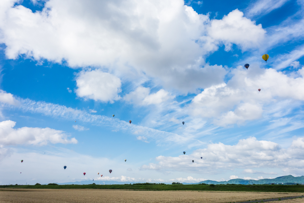 梅雨の合間のバルーン大会-3