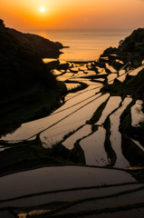 浜野浦2015.04.21_1837