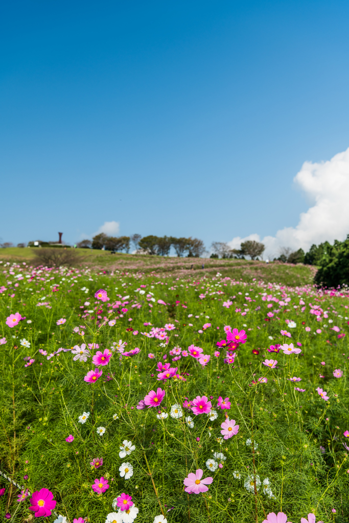 白木峰高原-3