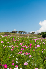 白木峰高原-3