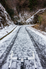 雪の林道-1