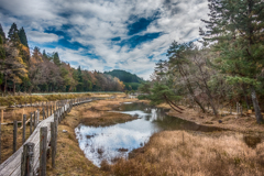 冬を迎える湿原