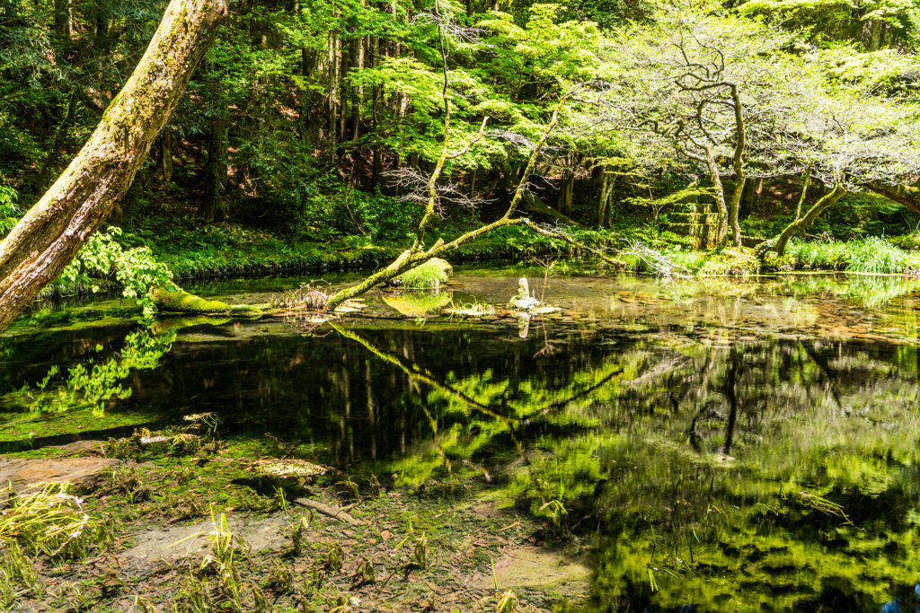 山吹水源-2